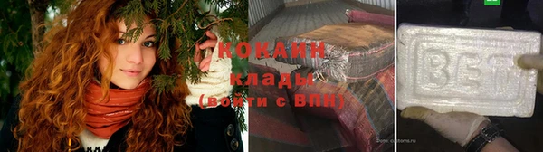 индика Абаза