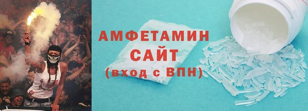 индика Абаза