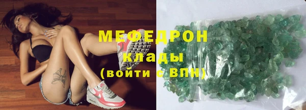 индика Абаза