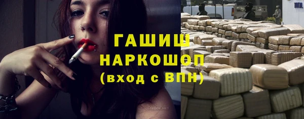 индика Абаза