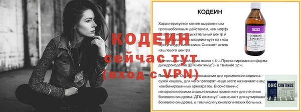 индика Абаза