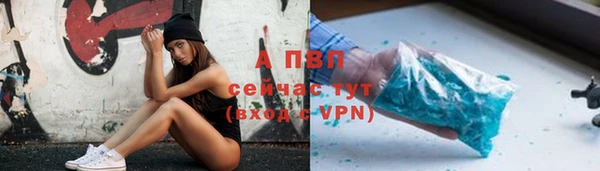 индика Абинск