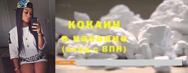 индика Абаза