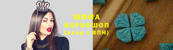 индика Абинск