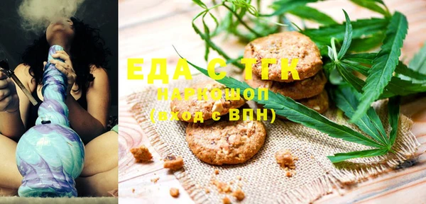 индика Абаза