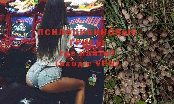 индика Абинск
