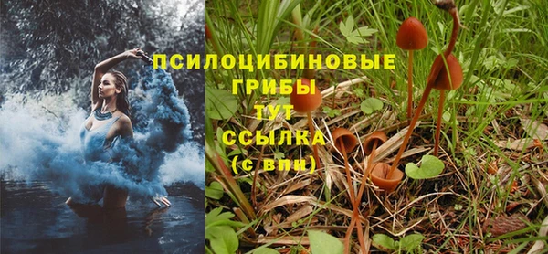 индика Абаза