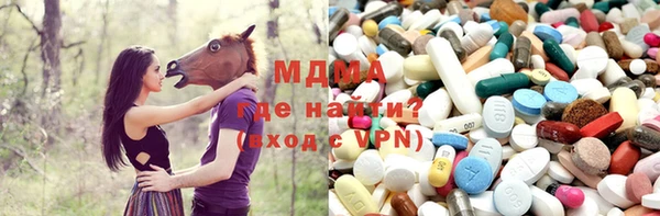 индика Абинск