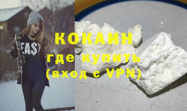 индика Абаза